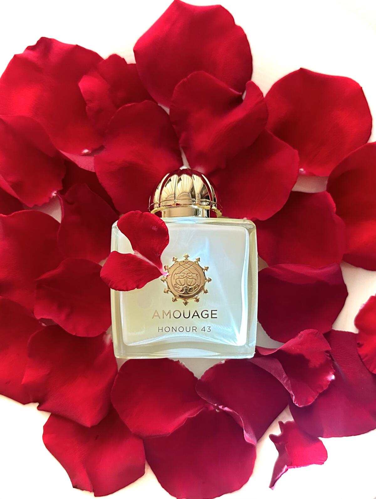 아무아쥬 아너 43 우먼 엑스트레 100ml 3.4oz - Best Perfume Fragrance 리뷰 및 가격